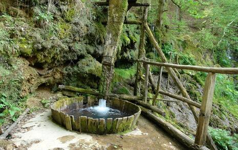 Nature park 'Strandzha', Bulgaria