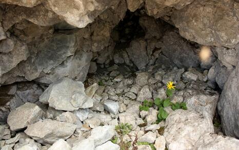 Views from Pirin National Park