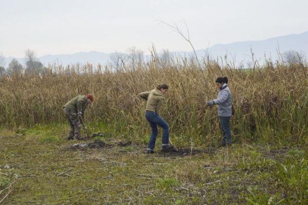 Tree Planting around Konush Dam