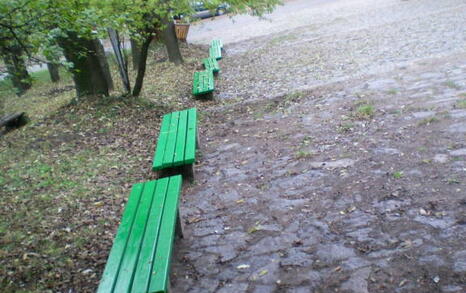 The “For Knyajevo” Network beautified the pine forest near the district