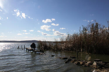 Celebration of the World Wetlands Day  