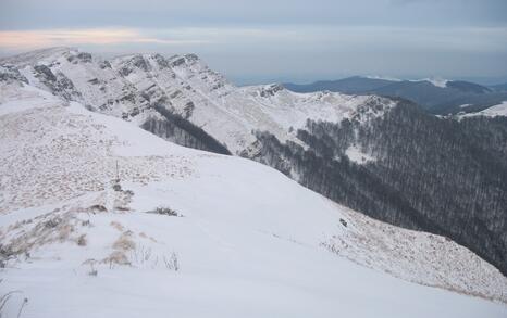 Winter 5-day hike of tourist club 'Prista'-Ruse and friends of the ForTheNature Coalition in Central Balkan National Park