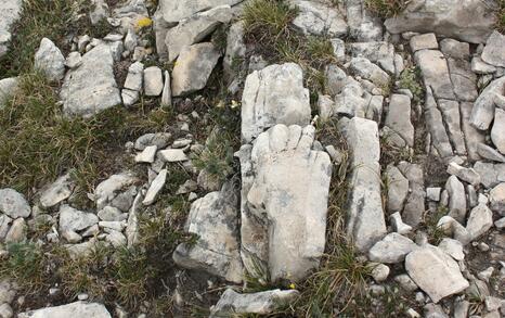 Views from Pirin National Park