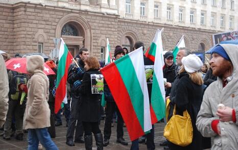 Sofia – Protest against GMO release in Bulgaria - 11.02.2010