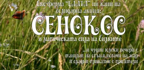 СОЛИДАРНА АКЦИЯ - 'Сенокос и обръщане на окосената трева и билки'
