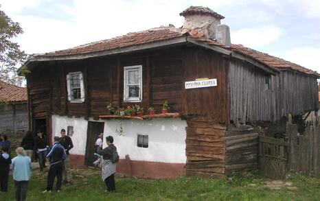 Zelenika festival 2010