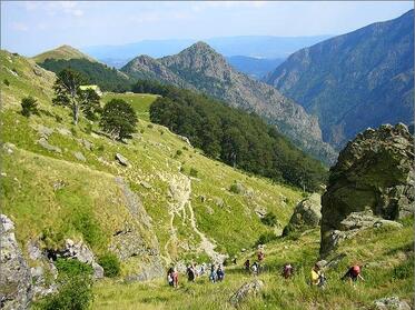 A change of the location of the administration of National Park Central Balkan is planned, in order to ease its build up