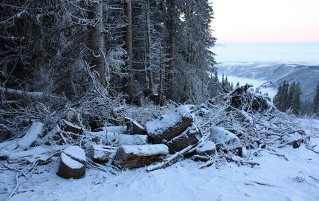 Rila's frozen lakes