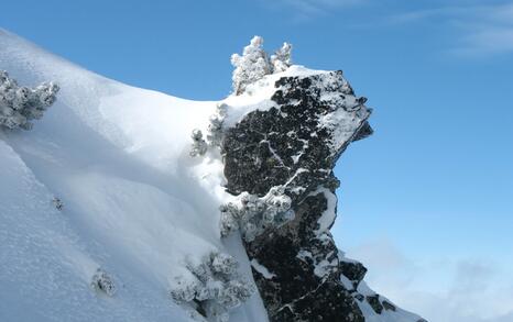 “Mountains and People” Association’s snowshoe hike in Rila 