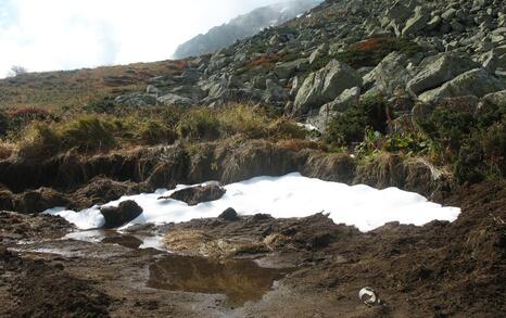 Vitosha monitoring on the spot 10.10.2008