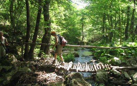 Nature park 'Strandzha', Bulgaria