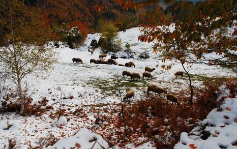 The beauty of Eastern Rhodopes