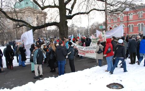 March against GMO release in Bulgaria – 31.01.2010, Sofia