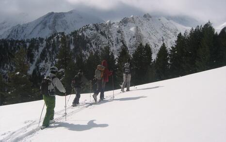 Environmentally friendly ski-tourism in Pirin National Park