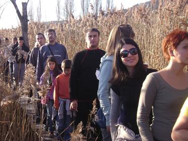 ECOOBSHTNOST FOUNDATION ORGANIZED TWO FORESTATIONS ARAOUND DRAGOMAN MARSH WITH THE PARTICIPATION OF EMPLOYEES OF “SAP LABS BULGARIA” AND “TELERIK”