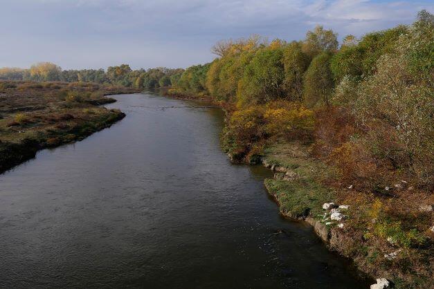 Съдебна победа на WWF съхрани горски местообитания край Марица