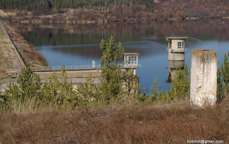 Observation of Birds at Pchelina Dam,  21 Nov. 2009