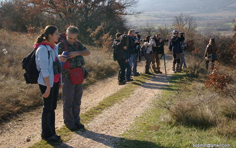 Observation of Birds at Pchelina Dam,  21 Nov. 2009