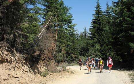 Actions on the 19-th and the 22-nd of august 2008 in Rila mountians