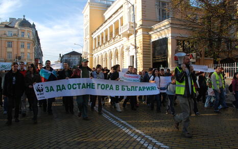 Protest for the Bulgarian forests