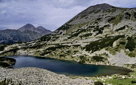 Views from Pirin National Park