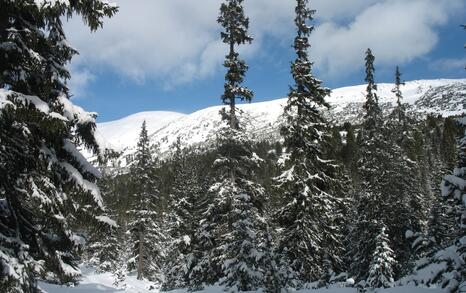 “Mountains and People” Association’s snowshoe hike in Rila 