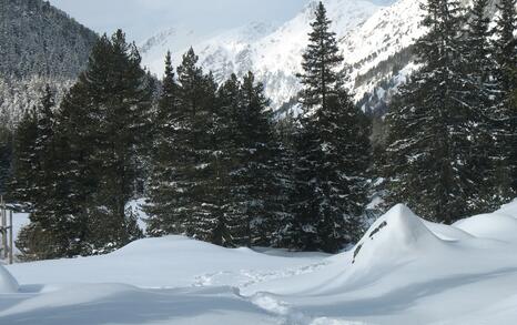 “Mountains and People” Association’s snowshoe hike in Rila 