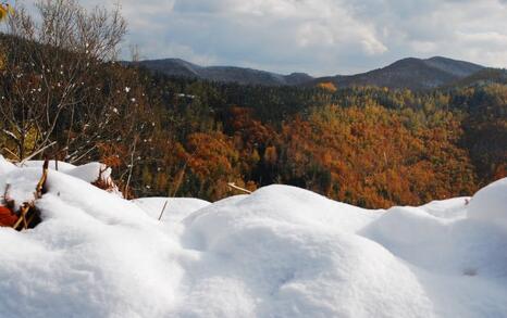 The beauty of Eastern Rhodopes