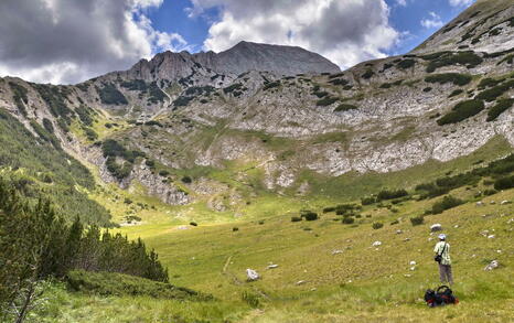 Views from Pirin National Park