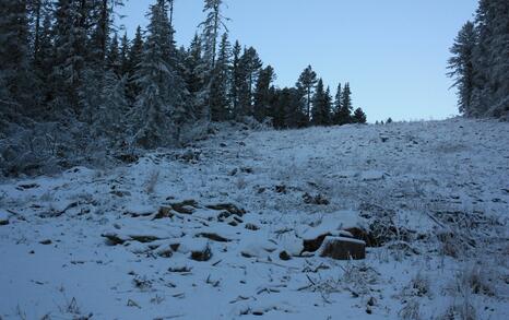 Rila's frozen lakes