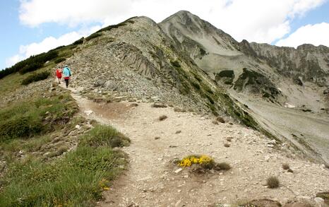 Views from Pirin National Park