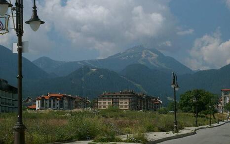 In National Park Pirin tree felling for the illegal construction of a new lift in the Bansko ski zone has started