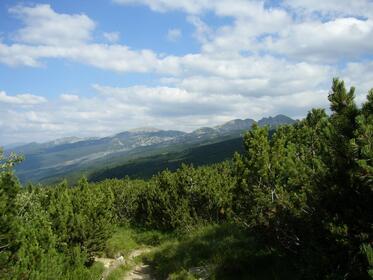 The European Commission insists on Bulgaria including the whole Important Bird Area Rila within NATURA2000