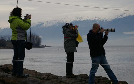 Bird watching trip to Kerkini, Greece, 19-20 December 2009