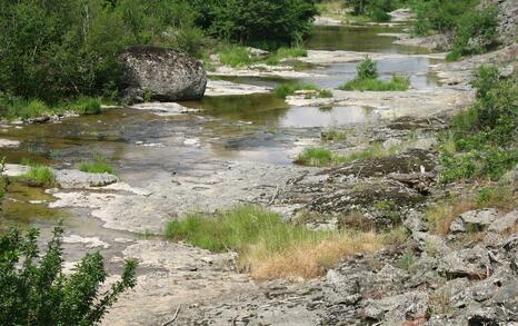 Nature park 'Strandzha', Bulgaria