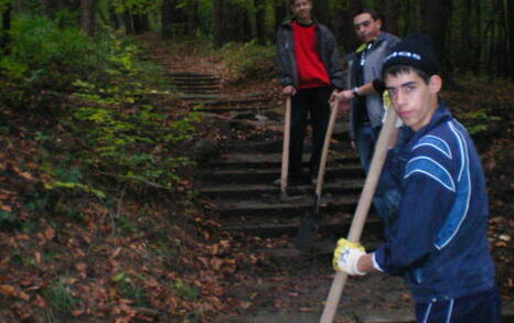 The “For Knyajevo” Network beautified the pine forest near the district