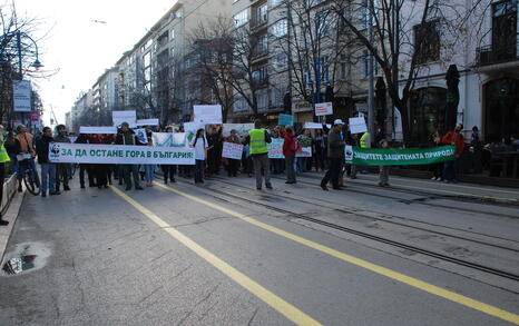 Protest for the Bulgarian forests