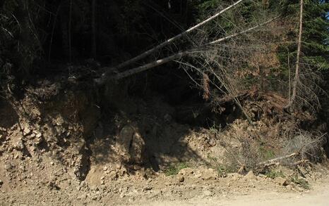 Actions on the 19-th and the 22-nd of august 2008 in Rila mountians