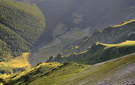 Views from Pirin National Park