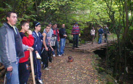 The “For Knyajevo” Network beautified the pine forest near the district