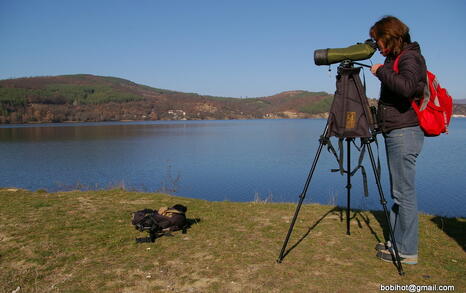 Observation of Birds at Pchelina Dam,  21 Nov. 2009