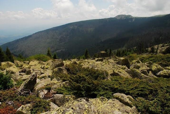 Vitosha Nature park - Aleko