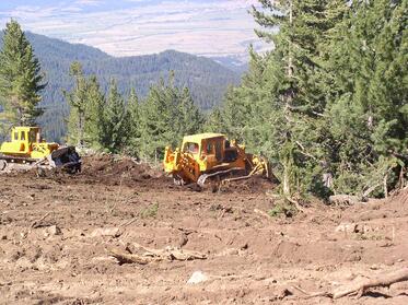 Environmentalists signal to the Eco-Minister about financial violations in public order “Development of a management plan for Pirin National Park for the period 2014-2023”