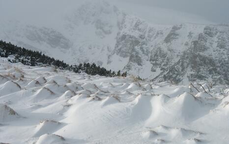 “Mountains and People” Association’s snowshoe hike in Rila 