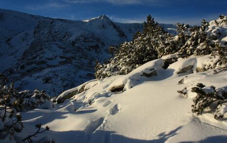 Rila's frozen lakes