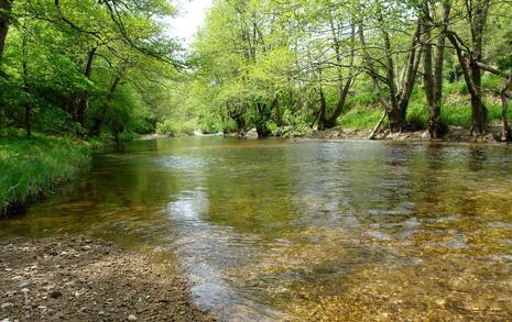 Nature park 'Strandzha', Bulgaria