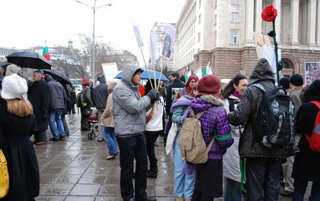 Sofia – Protest against GMO release in Bulgaria - 11.02.2010