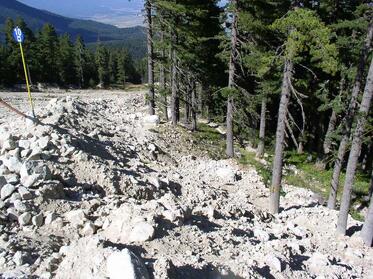 Pirin is about to be destroyed! Let’s save it! 