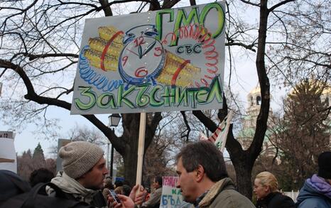 ПРОТЕСТ- Да спрем нашествието на ГМО в България, 13.01.2010