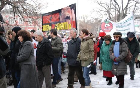 March against GMO release in Bulgaria – 31.01.2010, Sofia